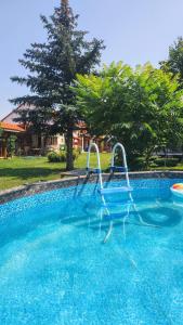 ŠtefanováにあるSvatoplukovo královstvíの庭に2台のスイミングプール