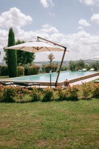 ein Regenschirm neben einem Pool in der Unterkunft La Monteduccia in Ostra Vetere