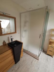 ein Badezimmer mit Dusche, Waschbecken und Spiegel in der Unterkunft Gite du Gehan #Vosges #Ski #Nature in Cornimont