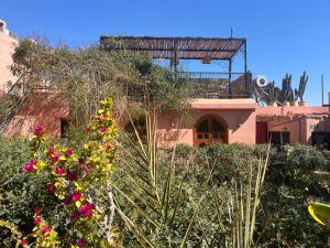 Κήπος έξω από το Riad Chameleon