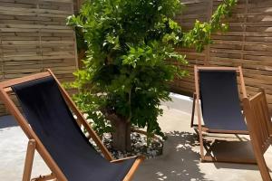 two chairs and a tree in a yard at Nature retreat-3 Bed-Sleeps 5-Private Garden in Grândola