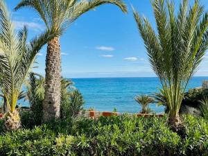 widok na ocean z ośrodka z palmami w obiekcie Casas 349h Amerador playa El Campello w mieście El Campello