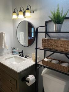 a bathroom with a sink and a mirror and a toilet at Cozy Mountain Cabin W Hot Tub Breathtaking Views in Alma