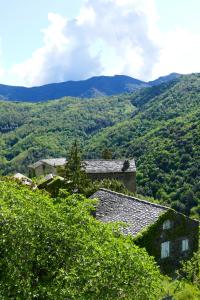 Príroda v okolí of the bed and breakfast