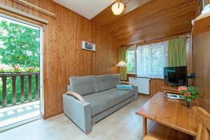 a living room with a couch and a television at Pensjonat Hubertus in Kosewo