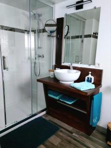 a bathroom with a sink and a shower at Gite Au pommier fleuri et son "Appart" indépendant in Drusenheim +37 photos