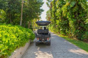 Gallery image of Grand Oasis Tulum Riviera - All Inclusive in Akumal