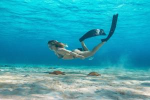 Gallery image of Grand Oasis Tulum Riviera - All Inclusive in Akumal
