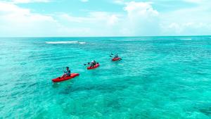 Gallery image of Grand Oasis Tulum Riviera - All Inclusive in Akumal