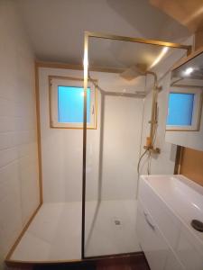 a small bathroom with a shower and a sink at Chalet cosy - terrasse et détente, escapade nature au Bonsoy in Waulsort +43 photos