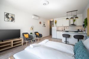 Televízia a/alebo spoločenská miestnosť v ubytovaní River Sunshine Apartment
