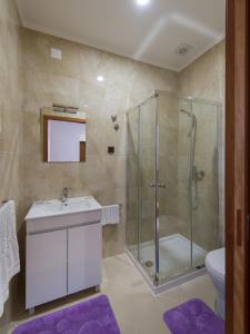 a bathroom with a shower and a sink and a toilet at Alojamento Correia in Caldelas +56 photos