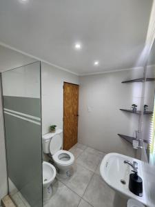 ein Badezimmer mit Toilette und Waschbecken in der Unterkunft Departamento centro Maipú Mza, sobre ruta del vino, equipado para 4 personas in Maipú + 4 Fotos
