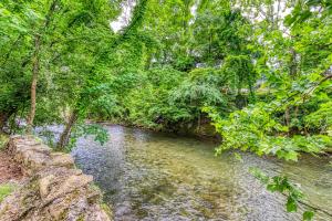 a river in a forest with trees at River Cottage in Pigeon Forge