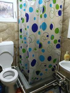 a bathroom with a toilet and a shower curtain at Casa Maria in Topliţa +59 photos