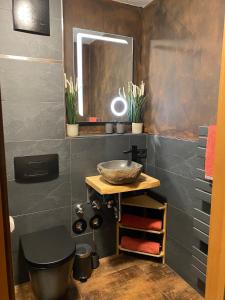 a bathroom with a sink and a mirror at Stilvolle Wohnung am Zwinger in Dresden