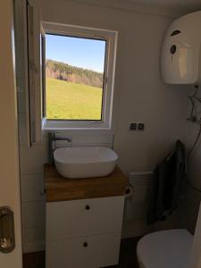 Gemütliches Tiny House in der Rhön في Hilders: حمام صغير مع حوض ونافذة