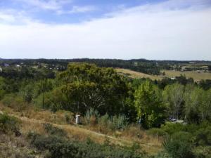 a view of a field with trees on a hill at La Cumbre in Sierra de los Padres +1 photo
