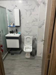 a bathroom with a toilet and a sink at Centar Apartment in Kumanovo