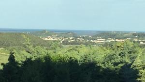 Príroda v okolí vily