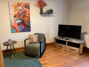 a living room with a television and a chair at J22 - Fullhouse - Apartments - Fussgängerzone - Netflix in Eisenach