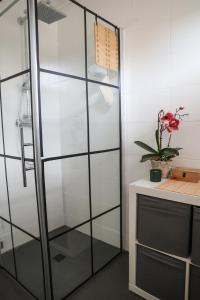 eine Glasduschtür im Bad mit Pflanze in der Unterkunft Haus am See - Urlaub im Herzen des Münsterlands in Steinfurt