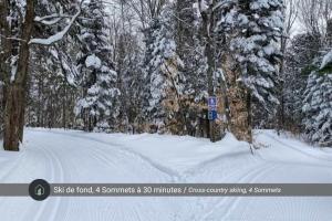 a snow covered road with trees and a sign at Le Plein Sud - Your ideal getaway by Lake Lise in Chertsey