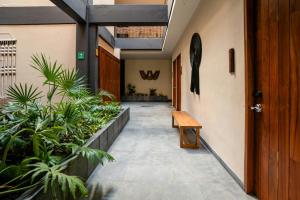Fotografie z fotogalerie ubytování Bloom Tulum Apartments v destinaci Tulum