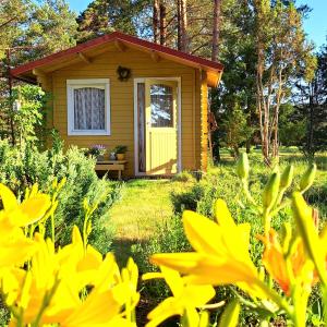 Aed väljaspool majutusasutust Lootuse Spa