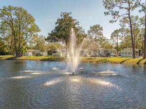 a fountain in the middle of a pond at Serenity Cabin in Dover