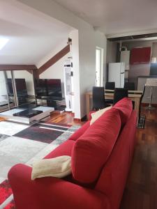un divano rosso in soggiorno di GRAND DUPLEX proche de PARIS a Saint-Maur-des-Fossés Altre 20 foto