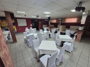 a dining room with white tables and white chairs at Vila Vienna in Zaječar