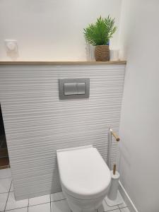 ein weißes WC im Bad mit Pflanze in der Unterkunft La petite maison blanche in Dunkerque + 27 Fotos