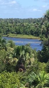 a body of water with palm trees and a river at Condomínio Lençóis Flat Resdence in Barreirinhas