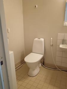 a bathroom with a white toilet and a sink at Siisti valoisa kolmio in Lieksa +13 photos