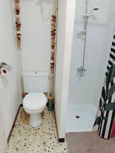une salle de bain avec toilettes et douche dans l'établissement LE LOGIS, Appartement au pied de la plage, à Port-la-Nouvelle