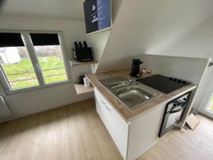 a small kitchen with a sink and two windows at Le Petit Trouville in Trouville-la-Haule