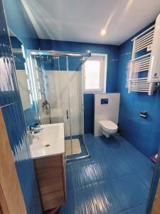 bagno blu con doccia e servizi igienici di Domki na zielonej łące a Nowęcin Altre 12 foto