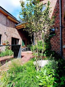 Κήπος έξω από το Boerderaaj vakantiewoning