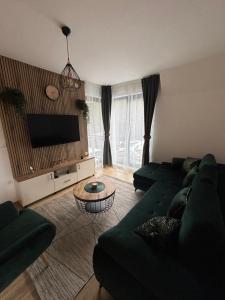 uma sala de estar com um sofá verde e uma TV em Apartmani Planina Divčibare em Divčibare