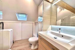 a bathroom with a sink and a toilet and a mirror at Studio rénové et fonctionnel in Bron