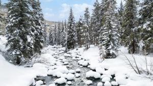 Eagle Point Resort talvel