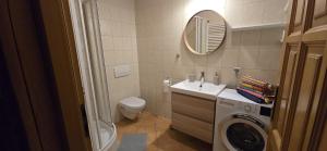 a bathroom with a washing machine and a sink at KURNACHATA in Wetlina +24 photos