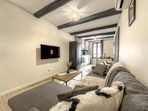 a living room with a couch and a tv at Le Cocon Appartement a 300m du Théâtre Antique in Orange +12 photos