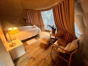 a bedroom with a bed and a large window at Botanik Glamping in Coto Brus