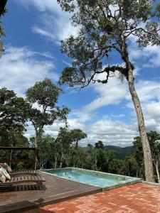 a swimming pool with a wooden deck and a tree at Recanto dos Pássaros na Serra Catarinense in Rancho Queimado