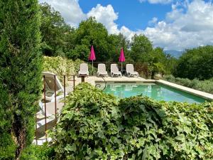 a swimming pool with chairs and a bunch of plants at La Bastide des Milles in Apt