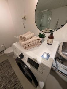a washing machine in a bathroom with a mirror at Koselig kjellerleilighet, gratis parkering! in Trondheim