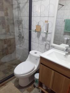 a bathroom with a toilet and a sink and a shower at cabañas y tiny house los arrayanes in Pucón