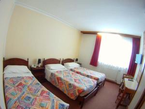 Postel nebo postele na pokoji v ubytování Hotel Canin